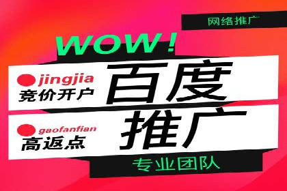 SEM搜索引擎优化策略解析与应用案例